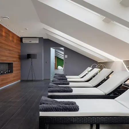 Spa Felicitas Hotel Podebrady